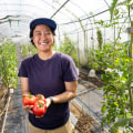 The Vital Role of Small-Scale and Local Businesses in Hawaii's Food System