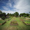 Promoting Sustainable Practices in Hawaii's Food System