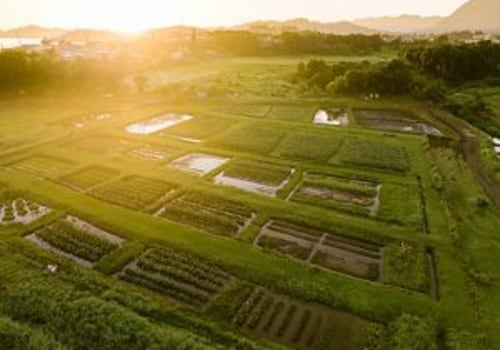 The Impact of Hawaii's Geography on its Food System